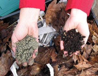 Soil